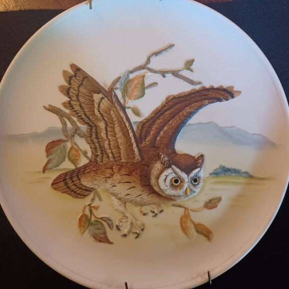 Birds in Flight Screech Owl Porcelain Plate - Picture 1 of 1